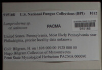 Image Associated With the Occurence
